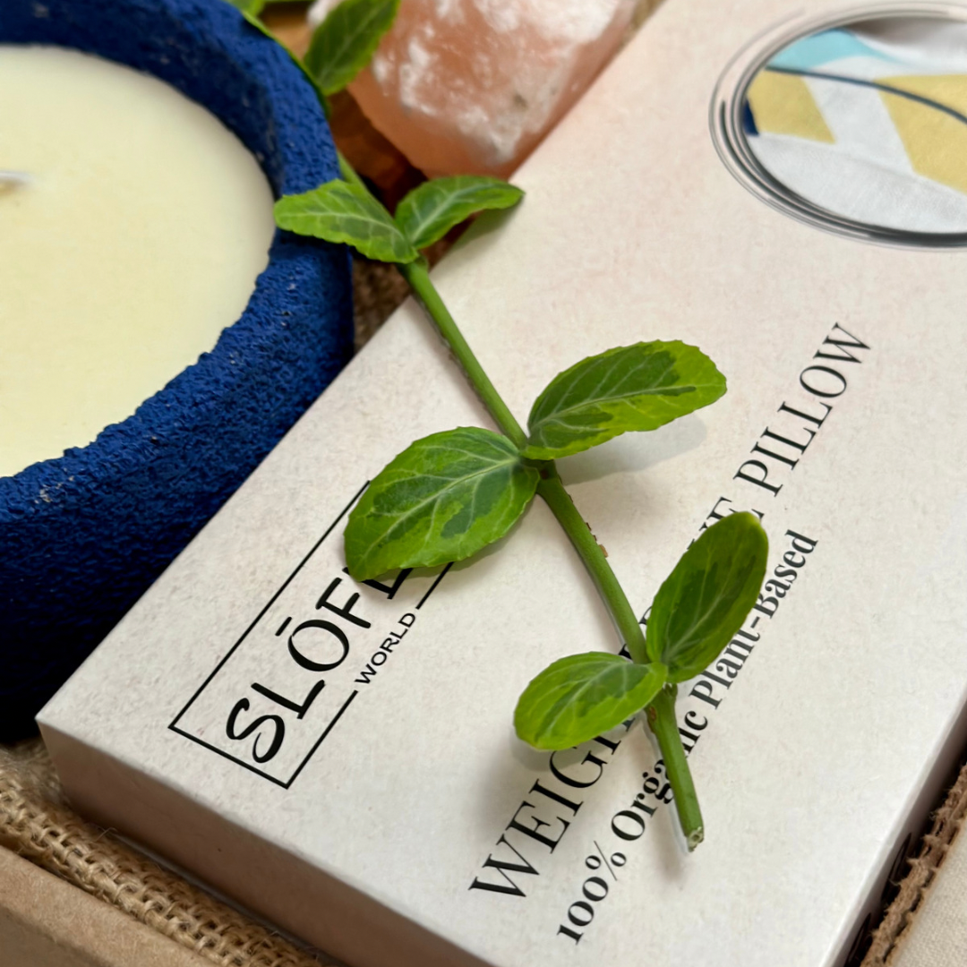 Re-energize Self-Care Bundle/ Gift Set