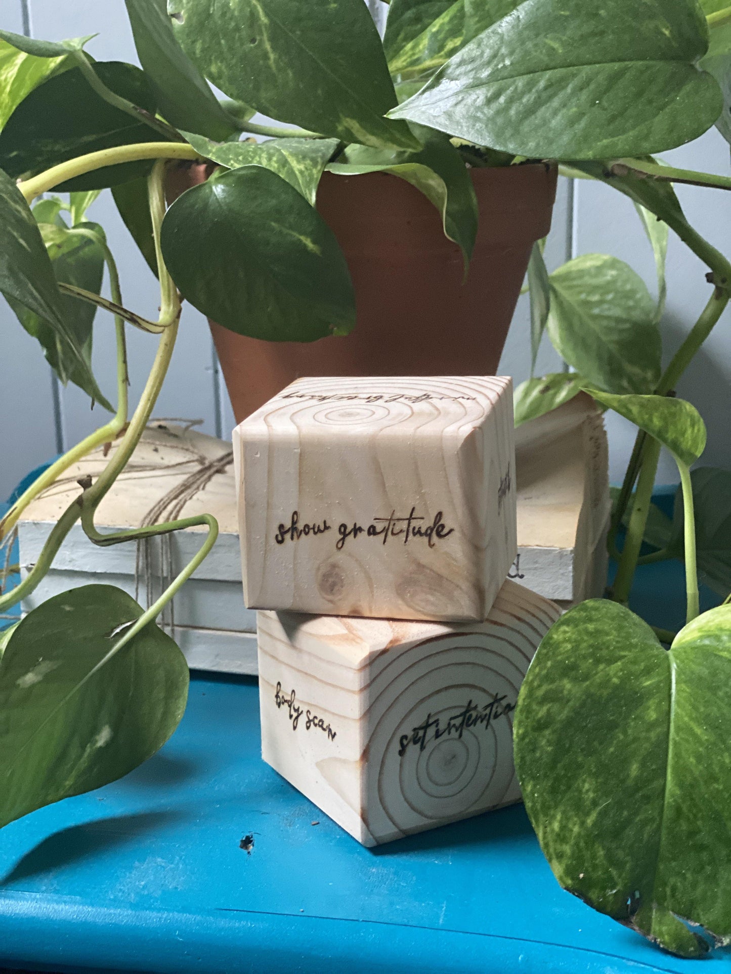 Bliss Self-Care Bundle/ Gift Set - The Sankalpa Project