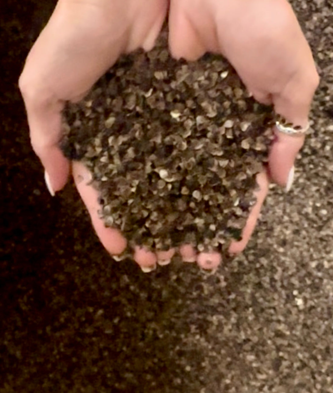 Buckwheat Hulls: The Eco-Friendly Filling Behind SloFlo World Yoga Props