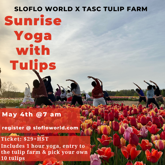 Sunrise Yoga with Tulips