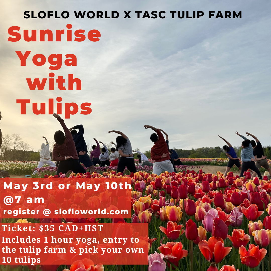 Sunrise Yoga with Tulips