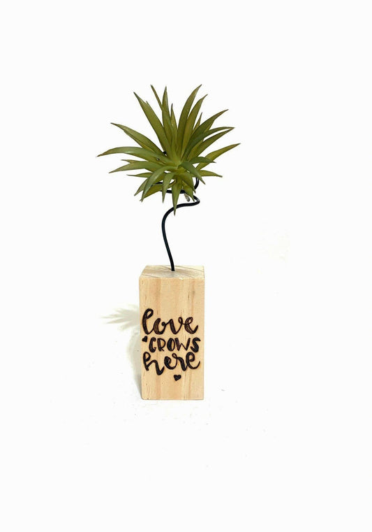 Loves Grows Here Plant/Picture Holder - The Sankalpa Project